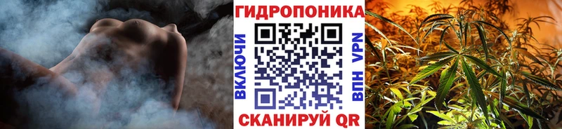 A-PVP Мамадыш