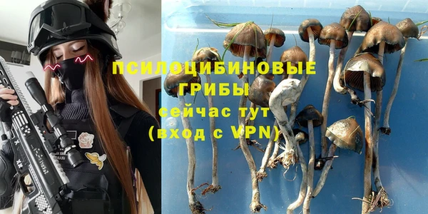 каннабис Приозерск