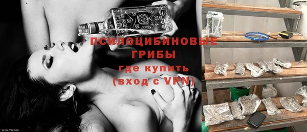 гидра Пролетарск