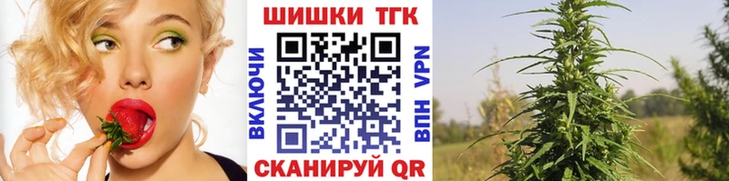 Бошки Шишки планчик  Мамадыш 